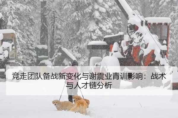竞走团队备战新变化与谢震业青训影响：战术与人才链分析